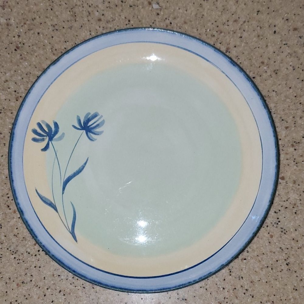 Pier 1 Imports Tranquility Dinner Plate